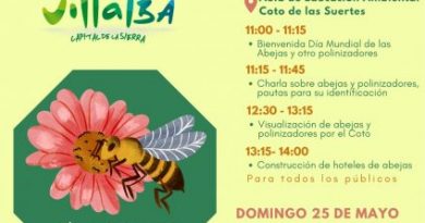 Cartel Día Abejas (1)
