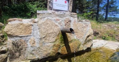 NUEVA FUENTE LAS CAMPANILLAS GUADARRAMA 02 (1)