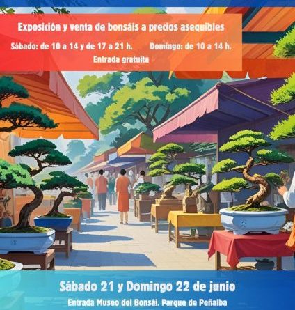 Mercadillo web