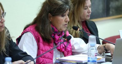 Sara Villa, portavoz de APPG
