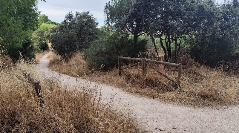 Monte Los Ángeles Torrelodones
