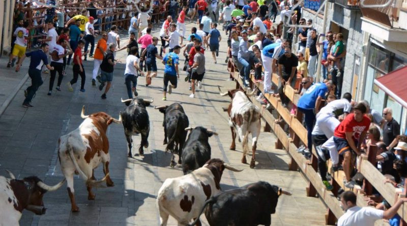 fiestas de Los Molinos