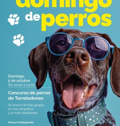 A4-DOMINGO-DE-PERROS-sin marcas