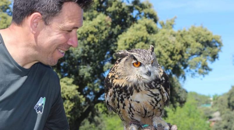 exhibición de aves rapaces
