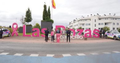 PARCHE ROSA LAS ROZAS 3