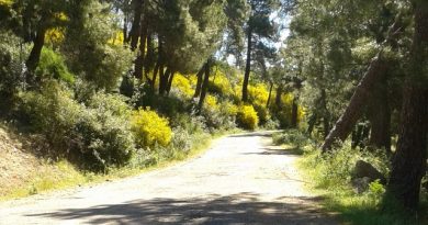 pista forestal Abantos