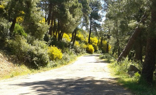 pista forestal Abantos