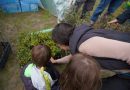 EDUCACIÓN AMBIENTAL LAS ROZAS 1