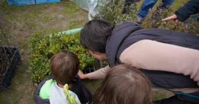 EDUCACIÓN AMBIENTAL LAS ROZAS 1