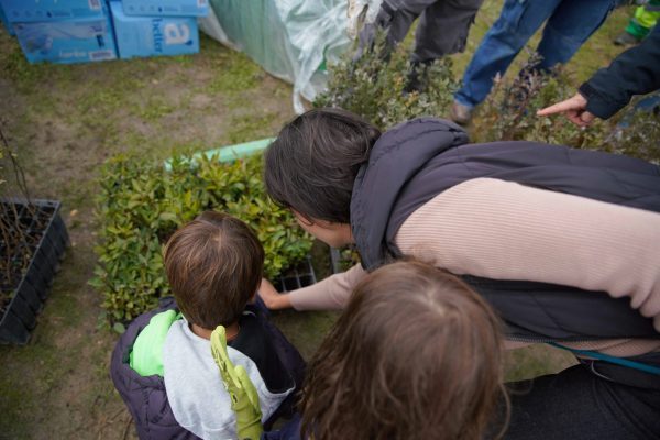 EDUCACIÓN AMBIENTAL LAS ROZAS 1