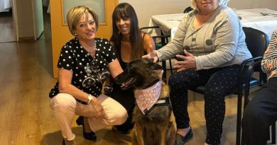 Terapia asistida con perro en Galapagar (002)