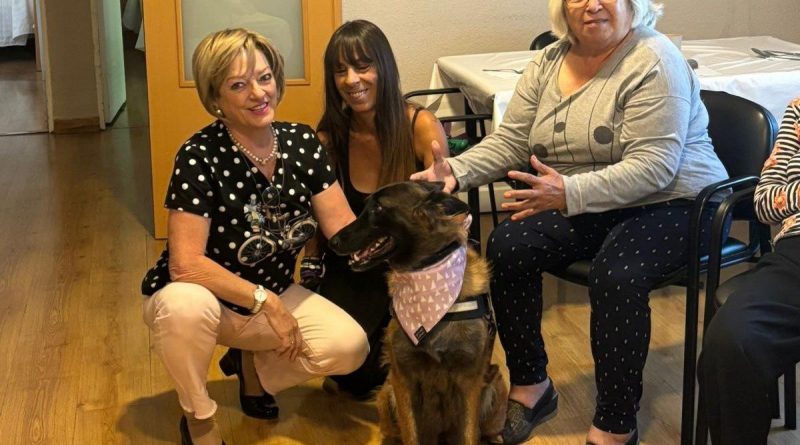 Terapia asistida con perro en Galapagar (002)