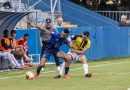 MSOTOLES _ GALAPAGAR
