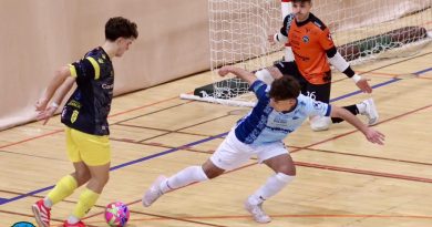 dehesa villalba talavera (1)