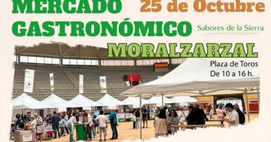 Img-post-mercado-gastronomico