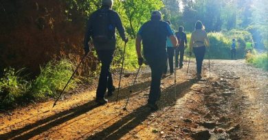 archivo marcha nórdica