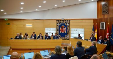 PLENO OCTUBRE LAS ROZAS