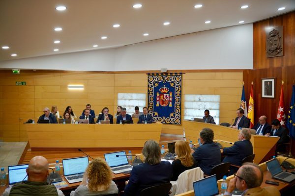 PLENO OCTUBRE LAS ROZAS