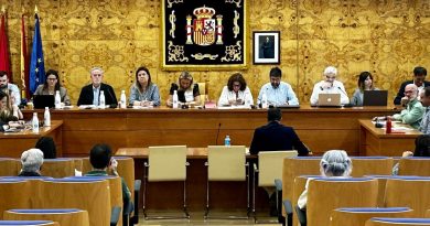 PLENO TORRELODONES