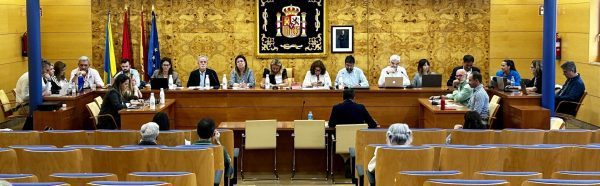 PLENO TORRELODONES