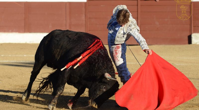ALVAROSERRANO Nº 24 PAMPLINAS