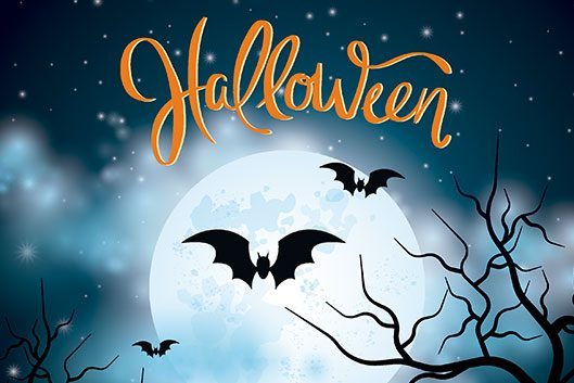 halloween galapagar 02