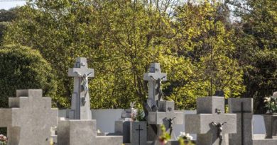 CEMENTERIO LAS ROZAS