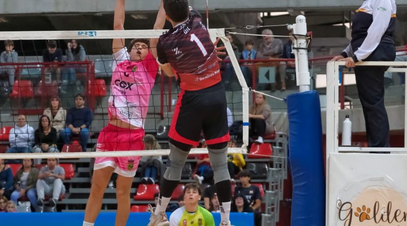 pinto-imgEs20251102100055