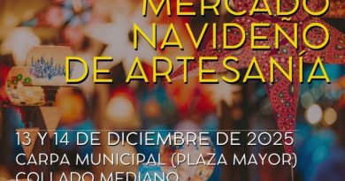 13645532-15bc-8d03-2b15-dcdf2aa76ed8