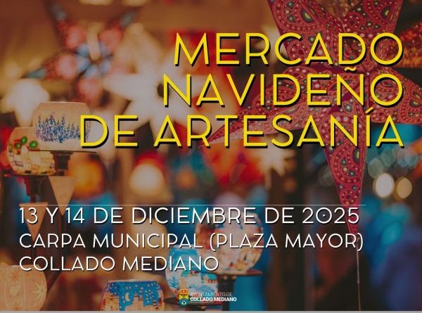 13645532-15bc-8d03-2b15-dcdf2aa76ed8