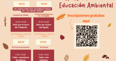 Actividades fin de semana _DICIEMBRE