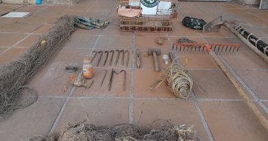 silvestrismo robledo de chavela