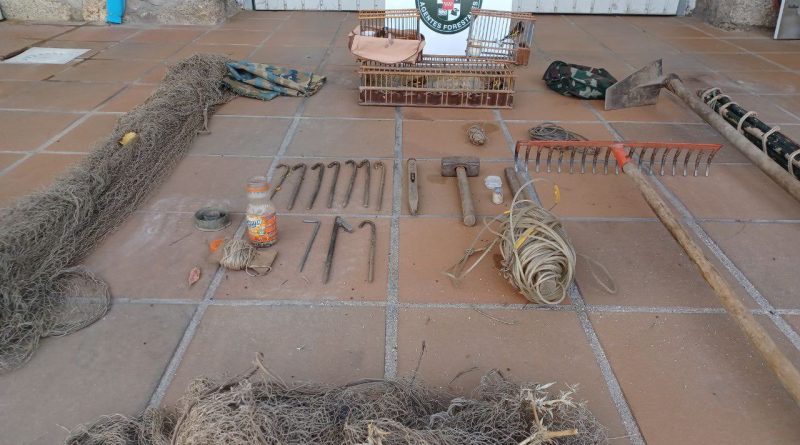 silvestrismo robledo de chavela