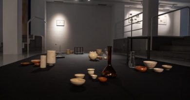 EXPO LAS ROZAS SARA G.