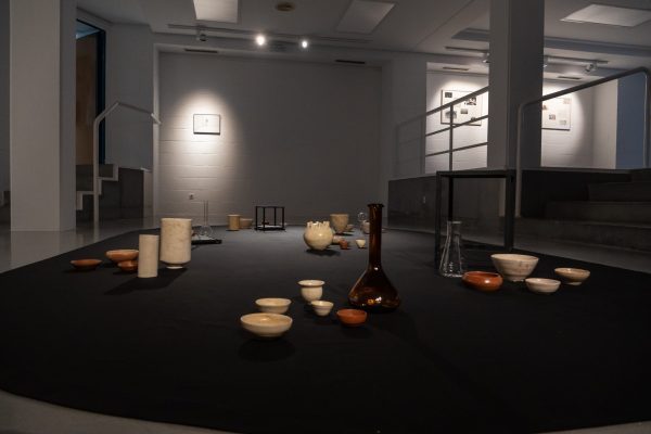 EXPO LAS ROZAS SARA G.