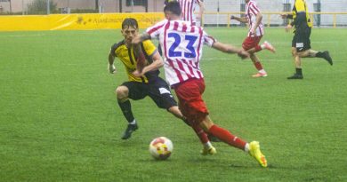 IMG_0356 AQUI EN LA SIERRA