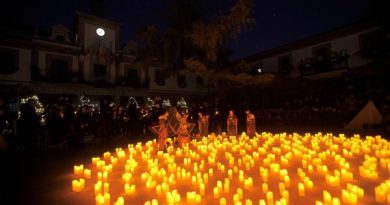 Encendido Navidad Las Rozas (1)