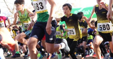 Cross Constitución 2