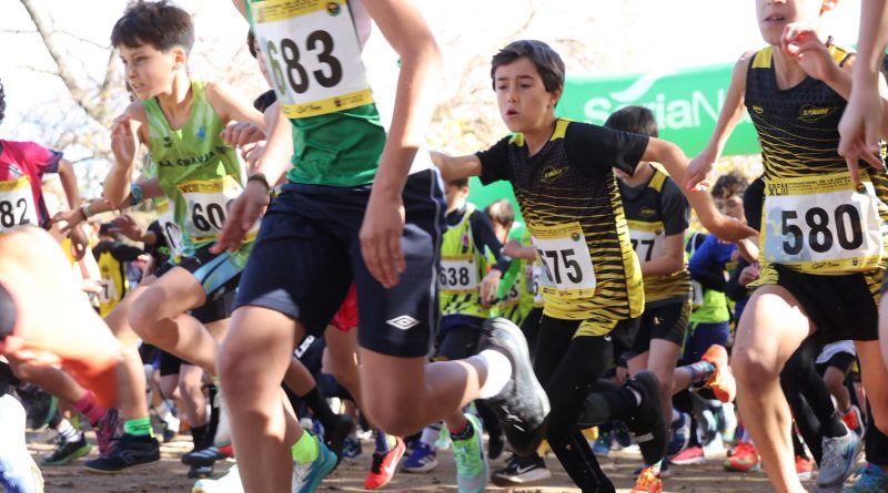 Cross Constitución 2