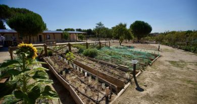 HUERTOS URBANOS LAS ROZAS