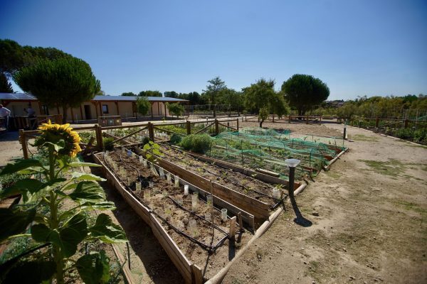 HUERTOS URBANOS LAS ROZAS