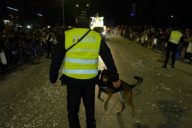 PLAN SEGURIDAD NAVIDAD LAS ROZAS