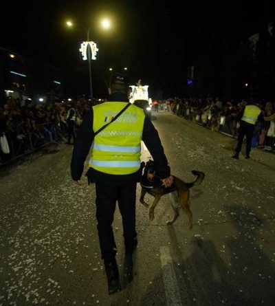 PLAN SEGURIDAD NAVIDAD LAS ROZAS