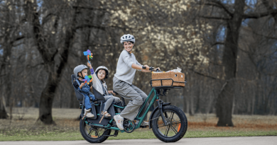 fat bike fiido familia