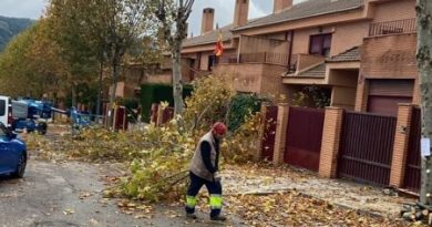 La-gestion-de-la-poda-en-Moralzarzal-se-convierte-en-acolchado-para-nuestras-zonas-verdes-2025