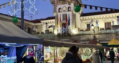 Mercado de Navidad (1)