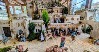 PXL_20251209_124808088~2