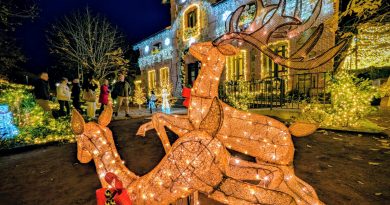 PXL_20251213_183518844.MP~2