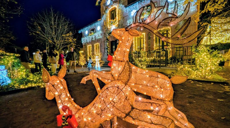 PXL_20251213_183518844.MP~2