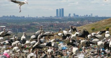 vertedero Colmenar Viejo